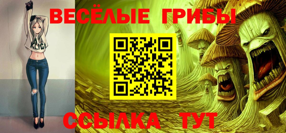 Галлюциногенные грибы Psilocybe Тула